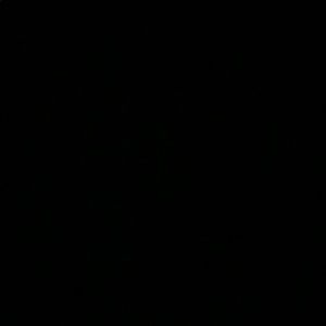 Meet your Posher, Will